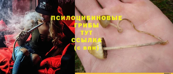 2c-b Верхнеуральск