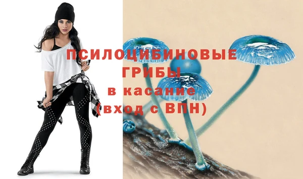 2c-b Верхнеуральск