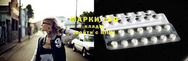 ГАЛЛЮЦИНОГЕННЫЕ ГРИБЫ Верхний Тагил