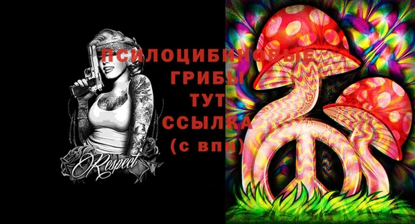ГАЛЛЮЦИНОГЕННЫЕ ГРИБЫ Верхний Тагил