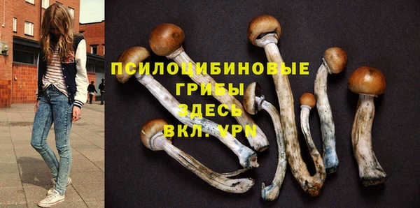 2c-b Верхнеуральск