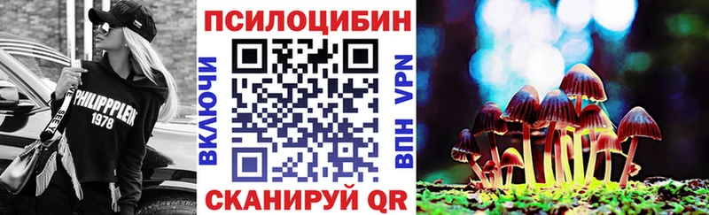 Галлюциногенные грибы Psilocybe  купить   Вилючинск 
